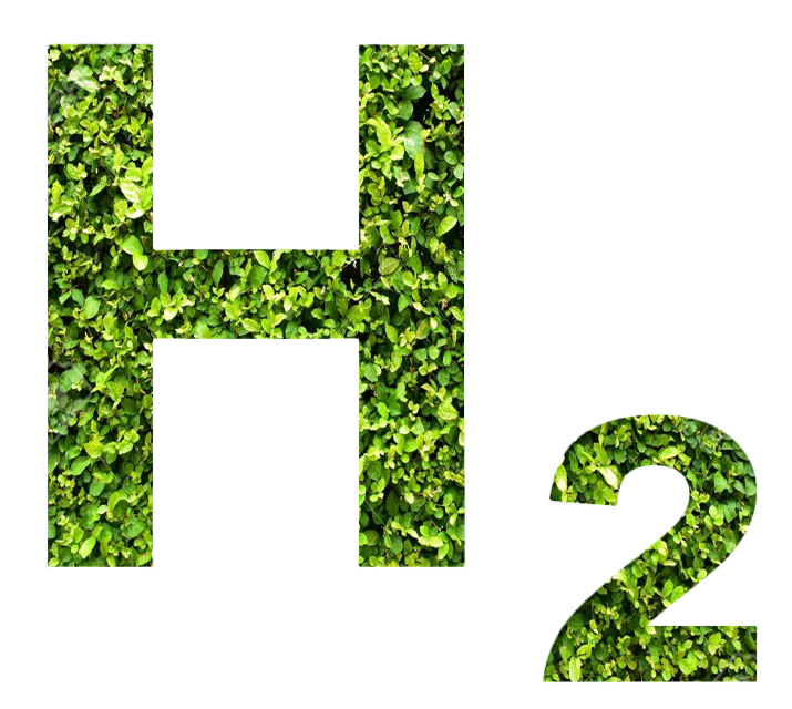Grüne Wasserstoffproduktion - Nachhaltige Erzeugung von Wasserstoff aus überschüssiger erneuerbarer Energie für eine nachhaltige Energienutzung